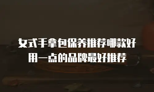 女式手拿包保养推荐哪款好用一点的品牌最好推荐