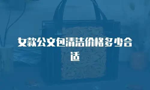女款公文包清洁价格多少合适