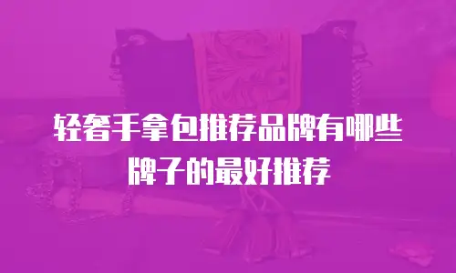 轻奢手拿包推荐品牌有哪些牌子的最好推荐