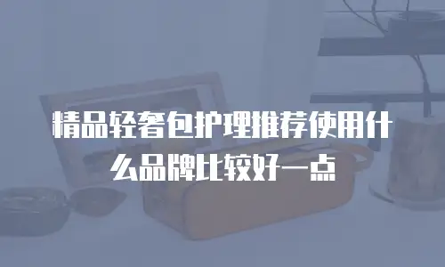精品轻奢包护理推荐使用什么品牌比较好一点