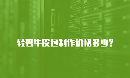 轻奢牛皮包制作价格多少？