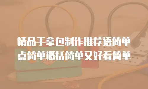 精品手拿包制作推荐语简单点简单概括简单又好看简单