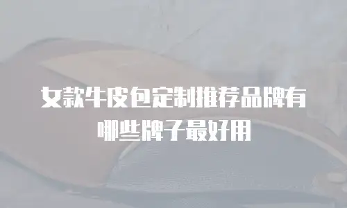 女款牛皮包定制推荐品牌有哪些牌子最好用