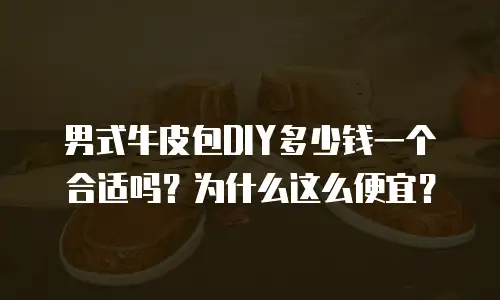 男式牛皮包DIY多少钱一个合适吗？为什么这么便宜？