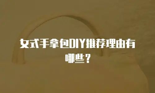 女式手拿包DIY推荐理由有哪些？