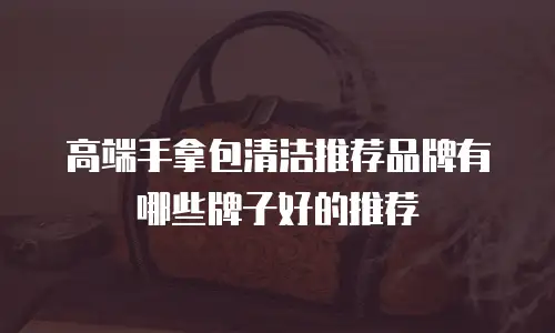 高端手拿包清洁推荐品牌有哪些牌子好的推荐