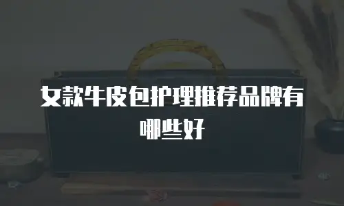 女款牛皮包护理推荐品牌有哪些好