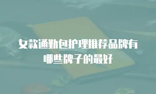 女款通勤包护理推荐品牌有哪些牌子的最好