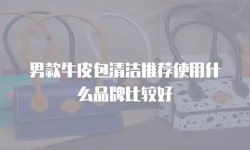 男款牛皮包清洁推荐使用什么品牌比较好