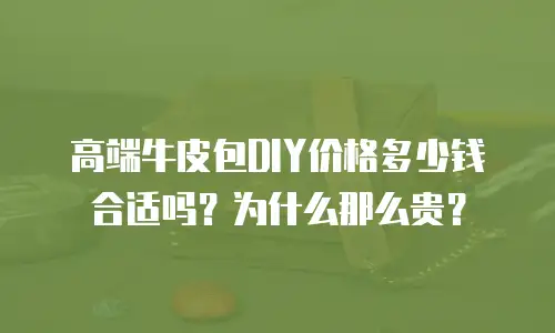 高端牛皮包DIY价格多少钱合适吗？为什么那么贵？