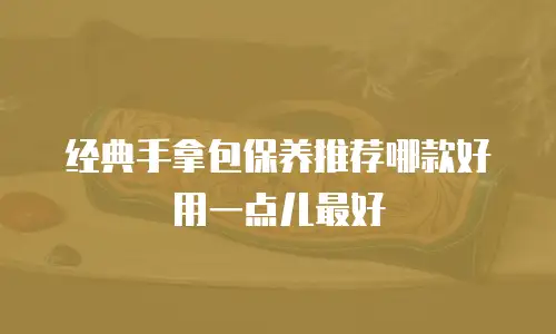 经典手拿包保养推荐哪款好用一点儿最好