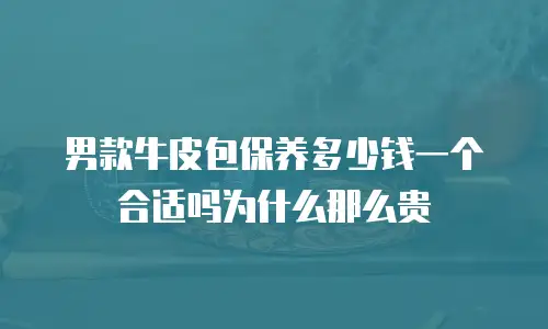 男款牛皮包保养多少钱一个合适吗为什么那么贵