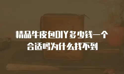 精品牛皮包DIY多少钱一个合适吗为什么找不到