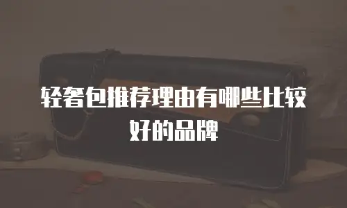 轻奢包推荐理由有哪些比较好的品牌
