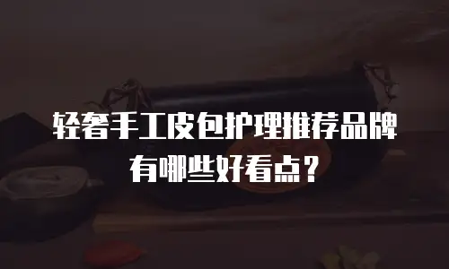 轻奢手工皮包护理推荐品牌有哪些好看点？