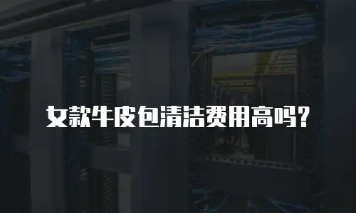 女款牛皮包清洁费用高吗？