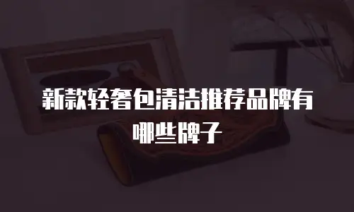 新款轻奢包清洁推荐品牌有哪些牌子
