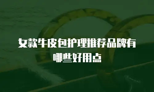 女款牛皮包护理推荐品牌有哪些好用点