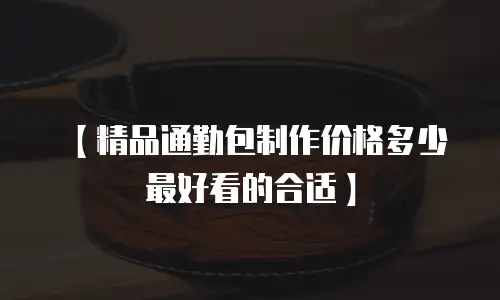 【精品通勤包制作价格多少最好看的合适】