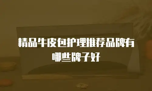 精品牛皮包护理推荐品牌有哪些牌子好