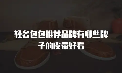 轻奢包包推荐品牌有哪些牌子的皮带好看
