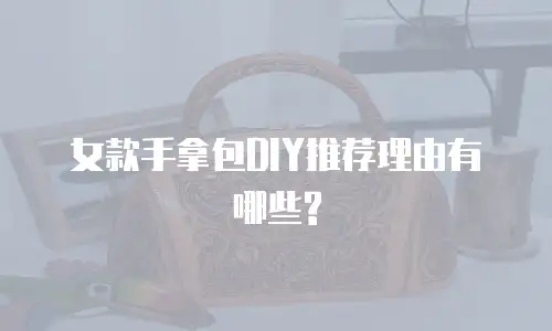 女款手拿包DIY推荐理由有哪些?