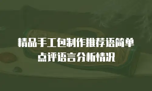 精品手工包制作推荐语简单点评语言分析情况