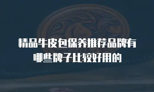 精品牛皮包保养推荐品牌有哪些牌子比较好用的