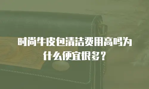 时尚牛皮包清洁费用高吗为什么便宜很多？