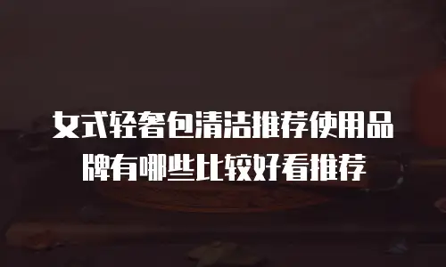 女式轻奢包清洁推荐使用品牌有哪些比较好看推荐