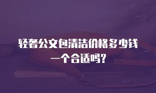 轻奢公文包清洁价格多少钱一个合适吗？