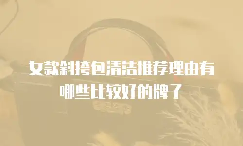 女款斜挎包清洁推荐理由有哪些比较好的牌子