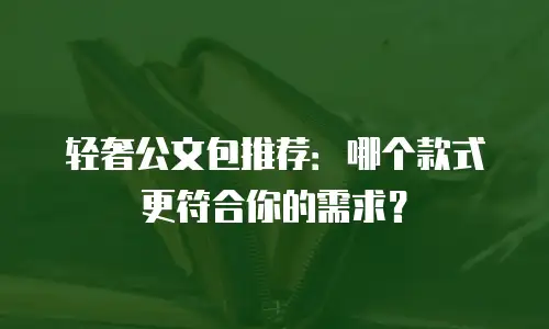 轻奢公文包推荐：哪个款式更符合你的需求？