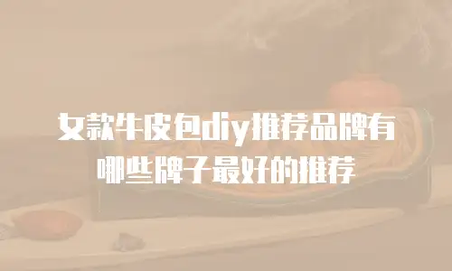 女款牛皮包diy推荐品牌有哪些牌子最好的推荐