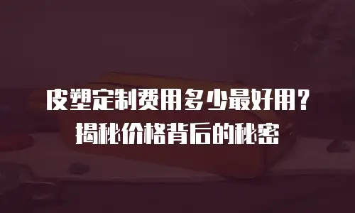 皮塑定制费用多少最好用？揭秘价格背后的秘密