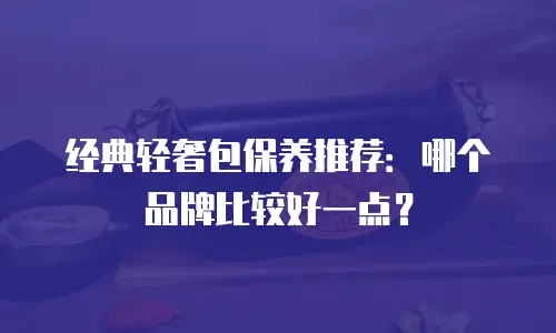 经典轻奢包保养推荐：哪个品牌比较好一点？