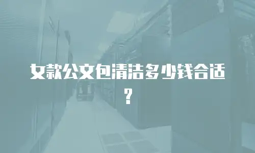 女款公文包清洁多少钱合适?