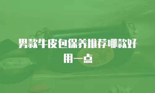 男款牛皮包保养推荐哪款好用一点