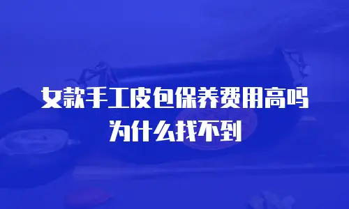 女款手工皮包保养费用高吗为什么找不到