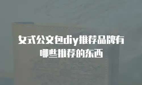 女式公文包diy推荐品牌有哪些推荐的东西