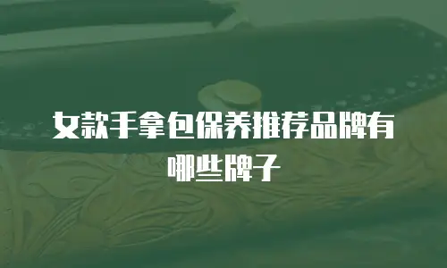 女款手拿包保养推荐品牌有哪些牌子