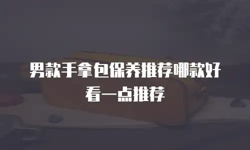 男款手拿包保养推荐哪款好看一点推荐