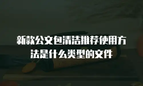 新款公文包清洁推荐使用方法是什么类型的文件