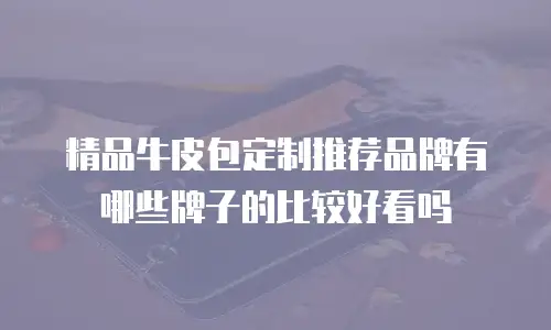 精品牛皮包定制推荐品牌有哪些牌子的比较好看吗