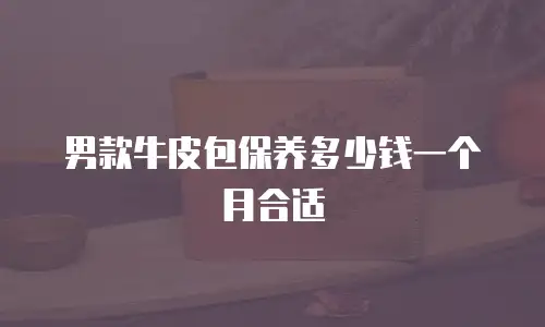 男款牛皮包保养多少钱一个月合适