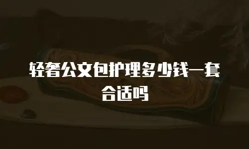 轻奢公文包护理多少钱一套合适吗