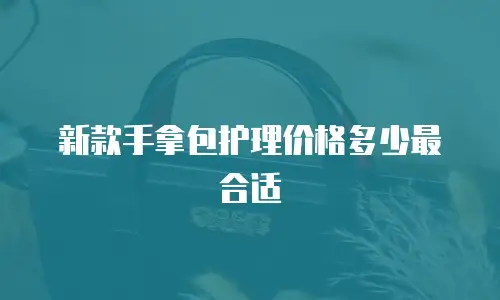 新款手拿包护理价格多少最合适