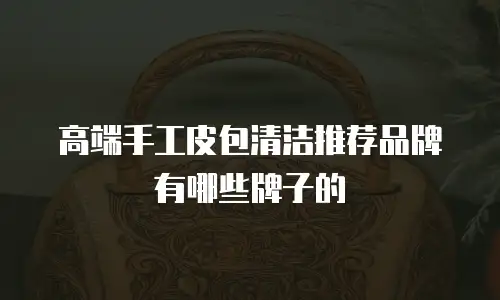 高端手工皮包清洁推荐品牌有哪些牌子的