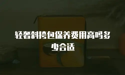 轻奢斜挎包保养费用高吗多少合适