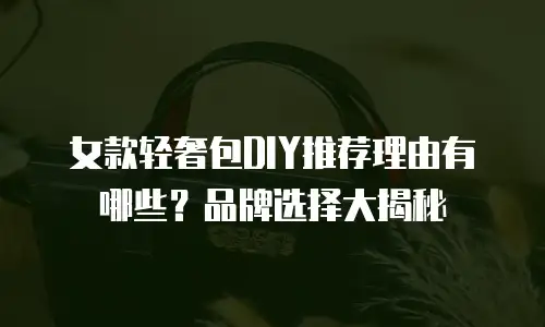 女款轻奢包DIY推荐理由有哪些？品牌选择大揭秘